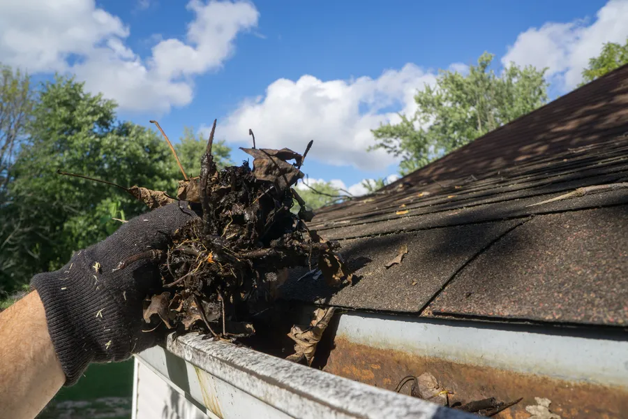 Gutter Cleanout